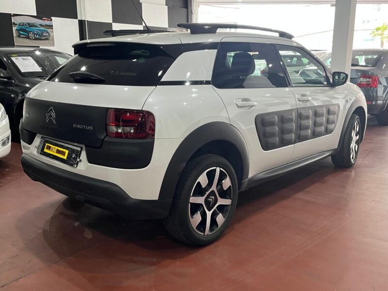 CITROEN c4 cactus 1.6 hdi 100cv